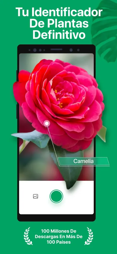 Captura de la aplicación PictureThis