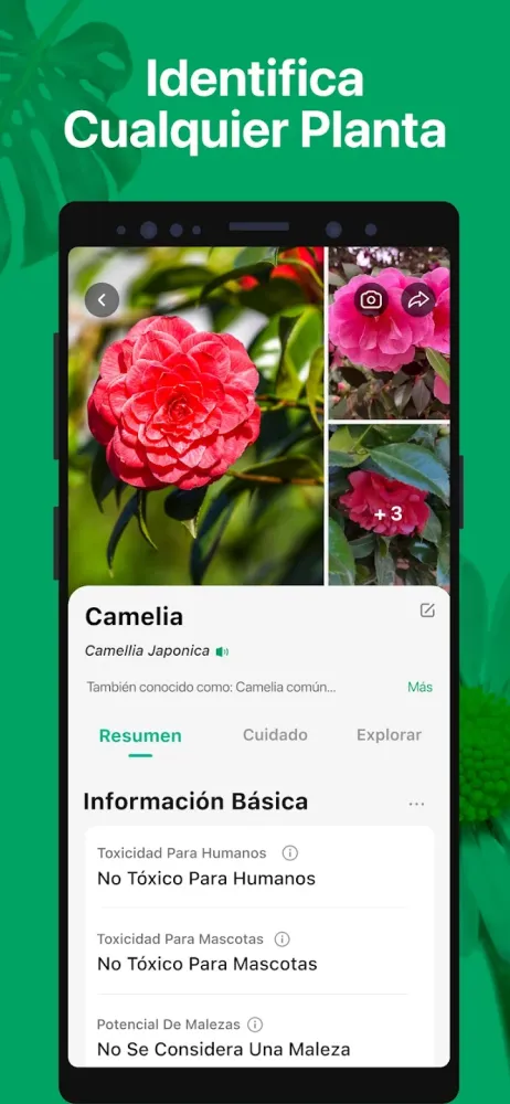Captura de la aplicación PictureThis