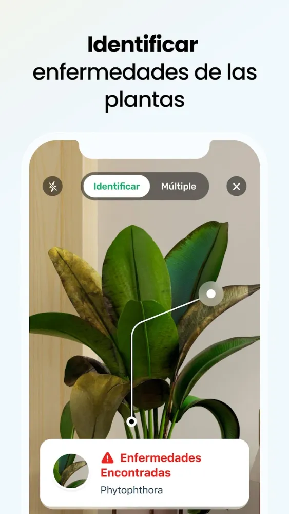 Captura de la aplicación Plant App