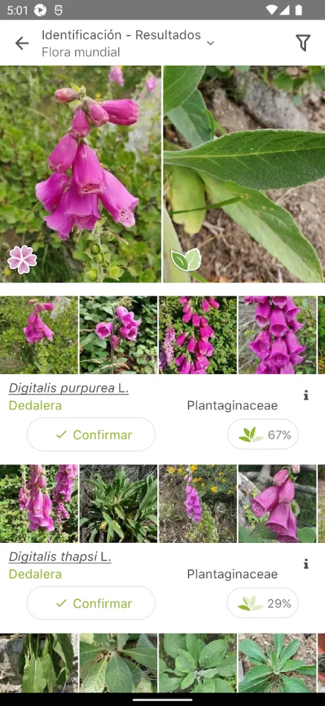 Captura de la aplicación PlantNet