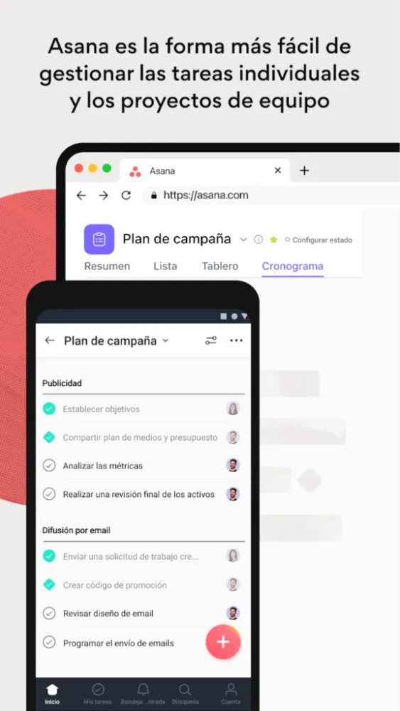 Captura de la aplicación Asana