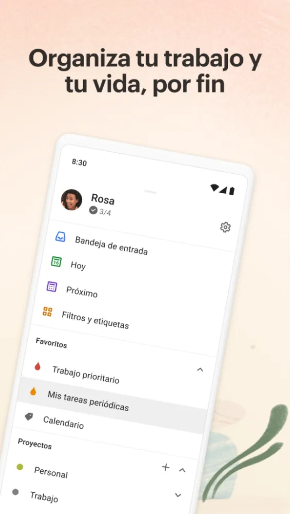 Captura de la aplicación Todoist